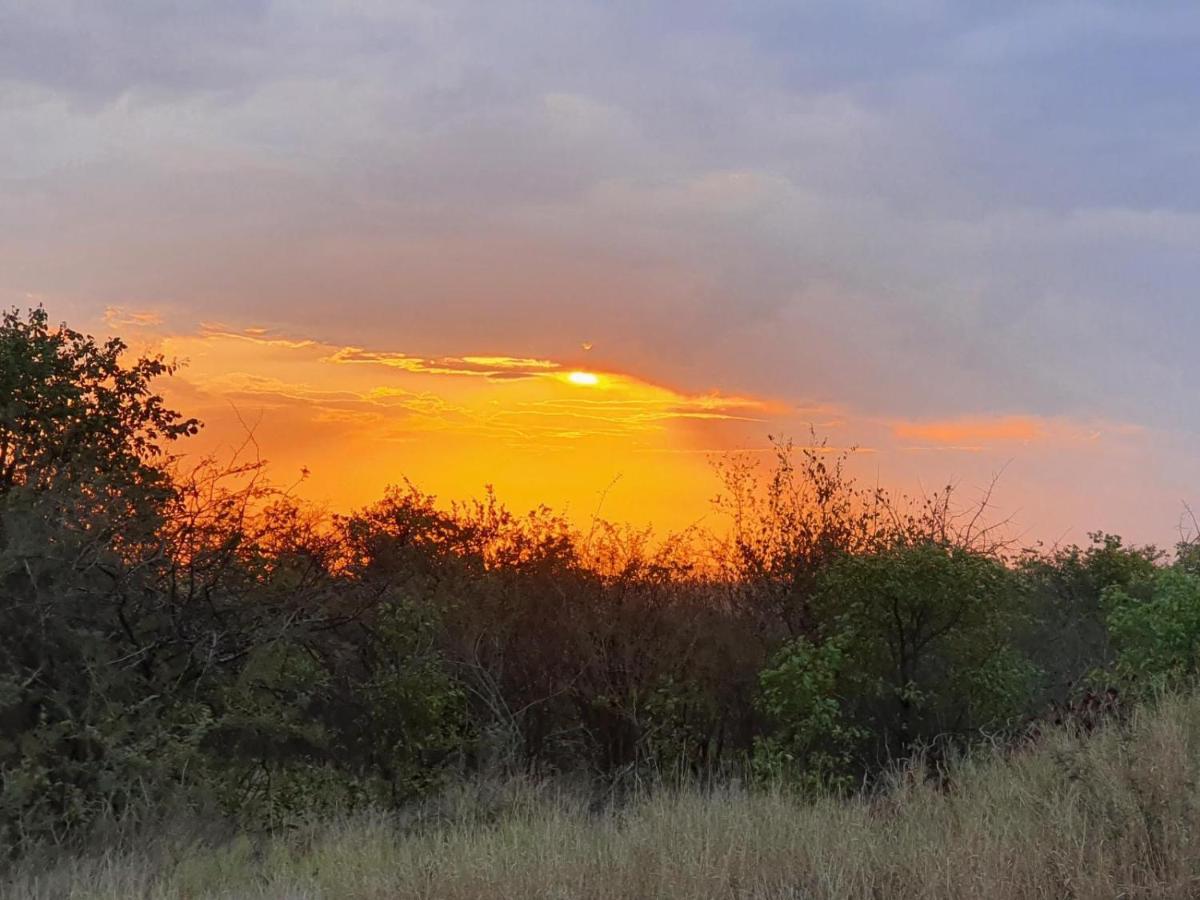 Masorini Bush Lodge & Safari Tents Phalaborwa Εξωτερικό φωτογραφία