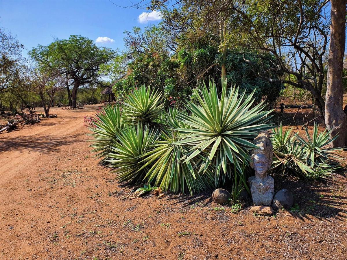 Masorini Bush Lodge & Safari Tents Phalaborwa Εξωτερικό φωτογραφία